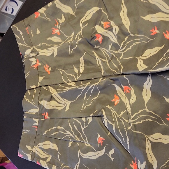 rag & bone Jackson Shorts Olive Green Bird Fauna Pleat Front Pockets Size 28 - Picture 7 of 14